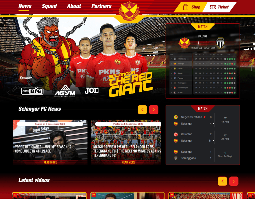 Website project